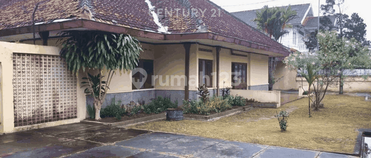Spacious House in Condongcatur for Business or Residence 1