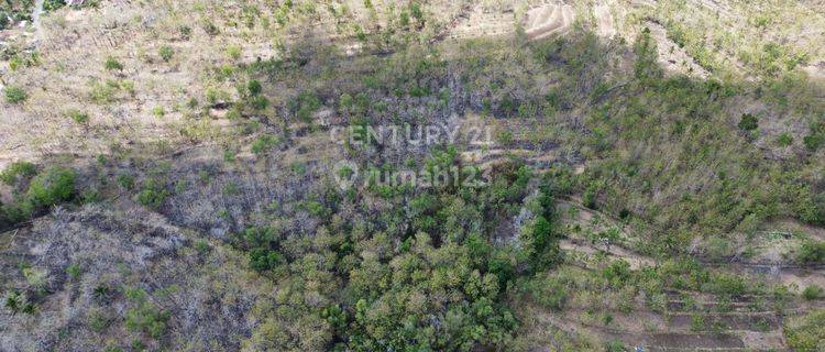 Tanah Luas Cocok Untuk Resot Di Mulo Wonosari Gunung Kidul 1