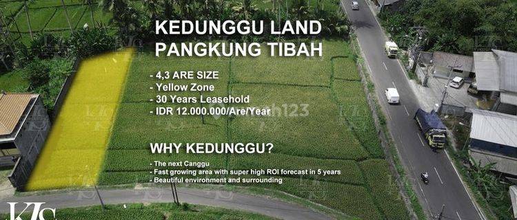 FOR RENT LAND KEDUNGU 4,3ARE GOOD FOR VILLA 1