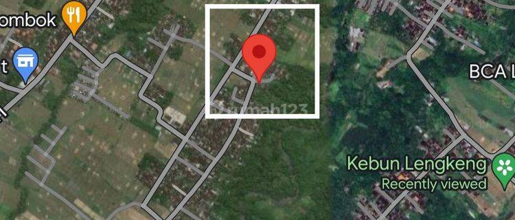 FOR LEASE LAND TABANAN 80ARE MINUTES TO KEDUNGU BEACH 1