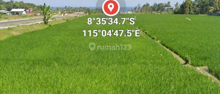 For Rent Kedungu Land 30are 13mil/are Per Year 1