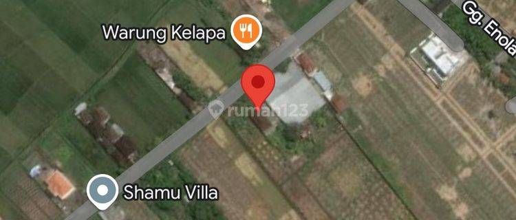 For Lease Land Kedungu 70are Perfect For Building Villas 1