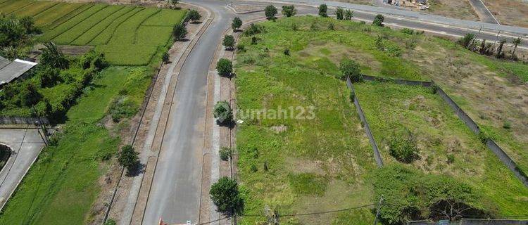 FOR RENT LAND KEDUNGU LEASHOLD 25YEARS SUITABLE FOR VILLAS  1