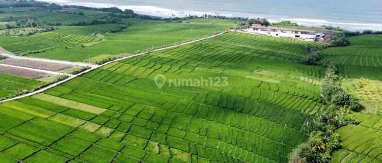 DIJUAL TANAH TABANAN PINGGIR PANTAI COCOK UNTUK BANGUN VILLA  1