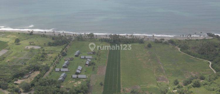 For Leasehold land  in kedungu pig stone beachfront  1