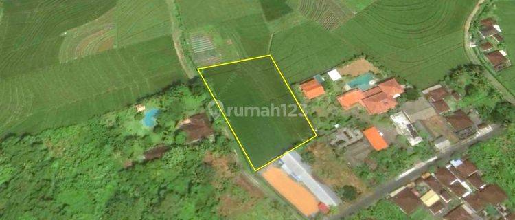 Tanah 2750m² di Tibubiu Pasut Tabanan , Itr Pariwisata 1