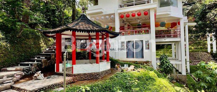 VILLA DAN COTTAGE JAPANESE STYLE FULL FURNISHED MEGAMENDUNG PUNCAK BOGOR 1