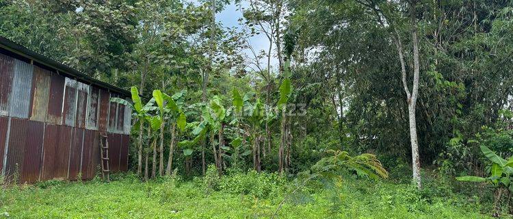 Tanah Deket Kampus, Sekolah, Pasar, Pemancingan & Usaha Lainnya 1