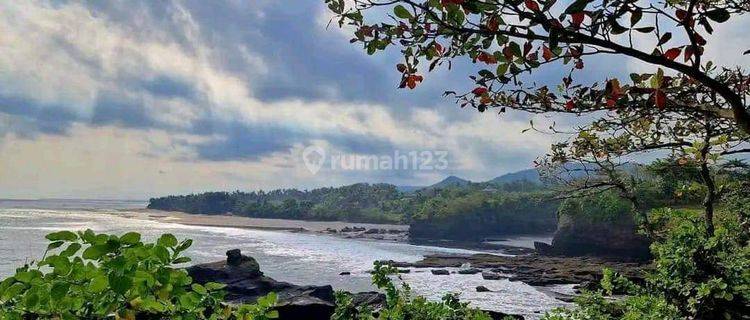 Dijual Cepat Dan di Bawah Pasar Sebidang Tanah Kosong di Kawasan Pariwisata, Jl Batu Mejan, Lalanglinggah, Selemadeg Tabanan 1