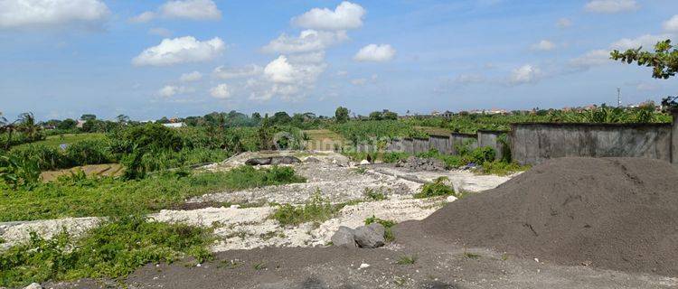 Di Jual Tanah View Sawah di Tumbak Bayuh Pererenan,canggu Mengwi 1