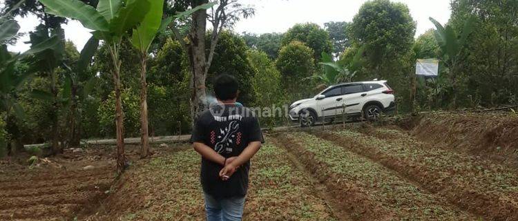 Tanah Produktif Cadas Sari Pandeglang Harga Miring 1