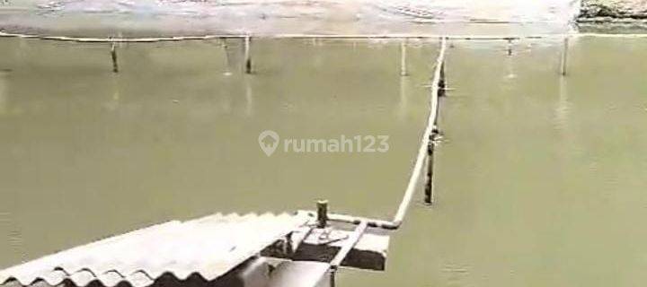 Tanah Berikut Empang Dan Ikan Jl Raya Palka Pabuaran 1