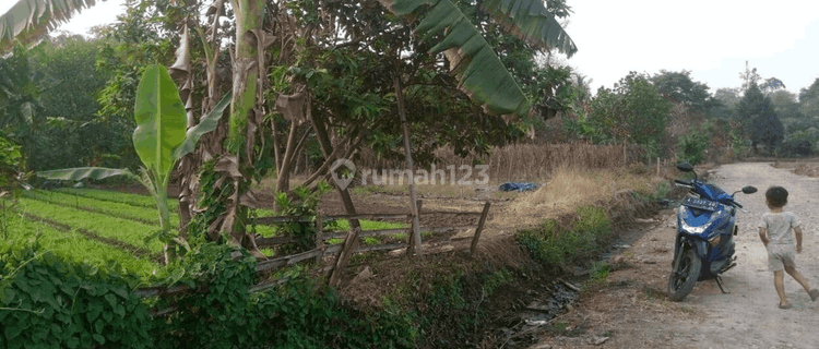 Tanah Kebun Perumahan Puri Gemilang Tambak 1