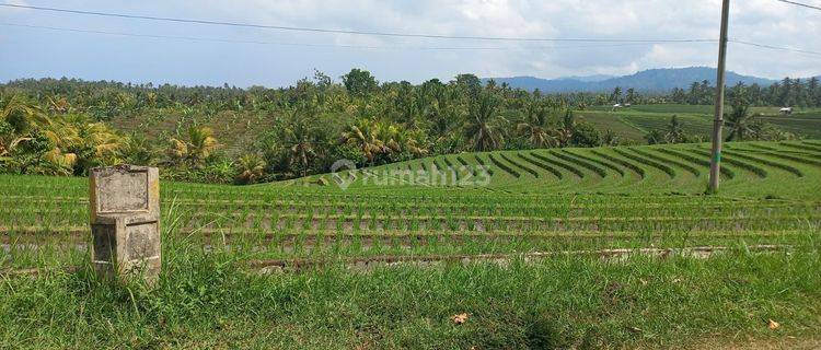 TANAH 30 ARE ZONA KUNING TABANAN 1