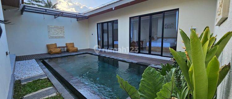 Brand New Villa In Ubud For Rent Yearly Rent In Ubud Bagus Shm 1