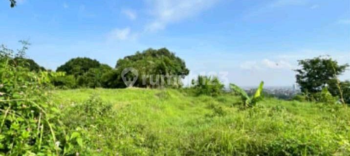 Dijual Tanah Murah Dekat Unimus Kedungmundu di Jl Ketileng Timur 1