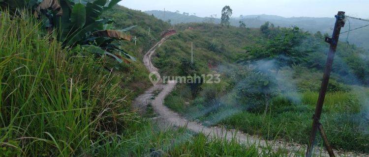 Tanah Dan Kebun 128.000m2 di Sukanagara, Gunung Sari, Cianjur 1