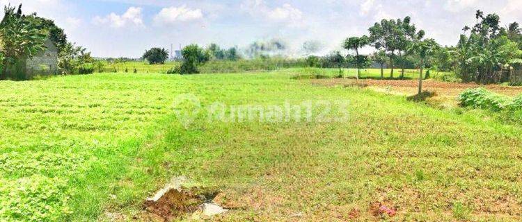 Tanah Babelan untuk Supermarket atau Cluster pinggir jalan utama Babelan, Bekasi #848 1