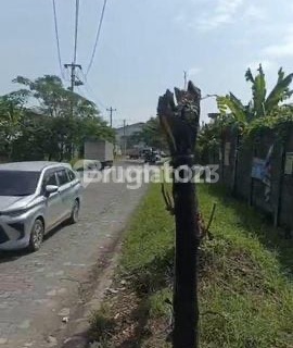 Turun Harga! di Bawah NJOP: Tanah Strategis 9.600M² Semarang 1
