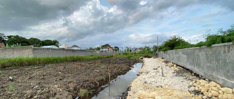  Miliki Tanah Kavling Impian di Tedung, Abianbase, Gianyar Dengan Pemandangan Sawah Hijau Yang Memukau 1