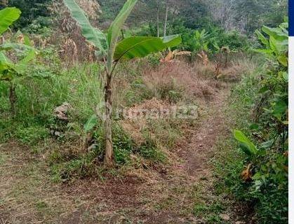 Tanah Lokasi Cipatik Gajah Mekar Luas 2482 Meter 1