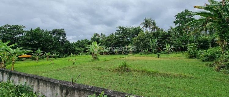 PASTI DEAL DI JUAL TANAH LOKASI GEROKGAK SINGARAJA BULELENG 1