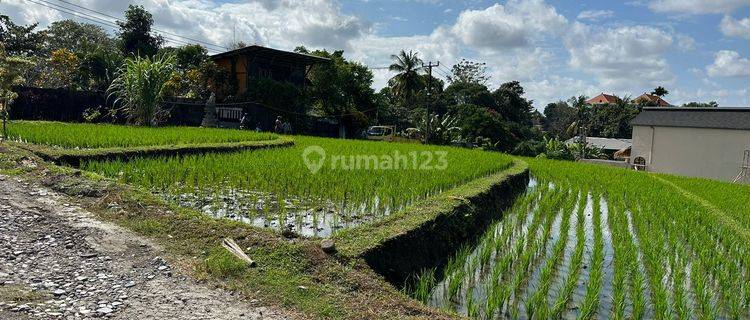 PASTI DEAL DI SEWAKAN TANAH LOKASI NYANYI BERABAN KEDIRI TABANAN  1