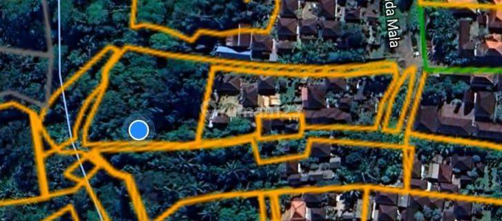 SURE DEAL FOR SALE LAND VIEW SUNGAI & FOREST LOCATION KELUSA PAYANGAN UBUD GIANYAR  1