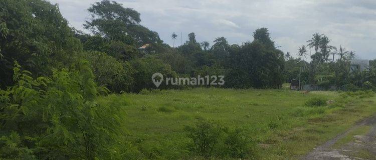 PASTI DEAL DI JUAL TANAH LOKASI KETEWEL GIANYAR  1