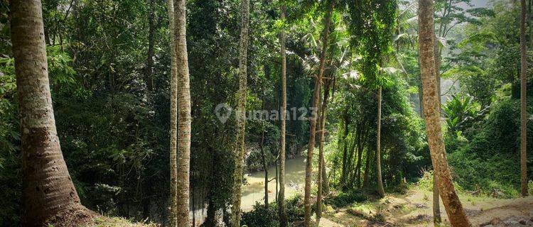 PASTI DEAL DI JUAL TANAH LOSS SUNGAI BANTAS LOKASI MUNGGU MENGWI BADUNG 1