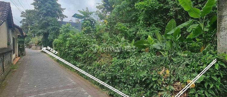 PASTI DEAL DI JUAL TANAH LOKASI SAYAN UBUD GIANYAR  1