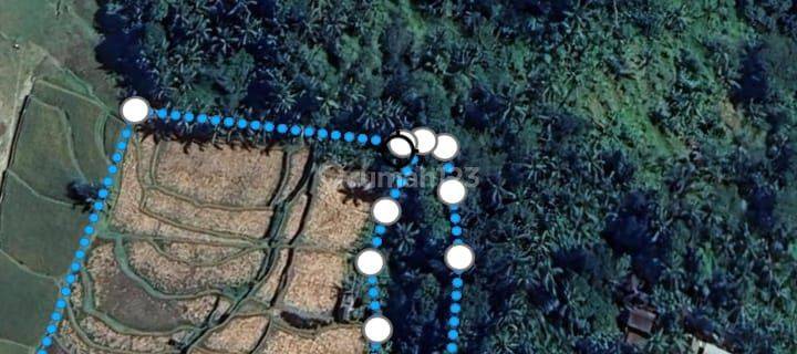 SURE DEAL FOR SALE LAND VIEW SAWAH & FOREST LOCATION KELUSA PAYANGAN UBUD GIANYAR 1