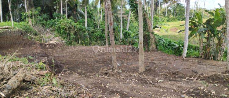 DEFINITELY A DEAL FOR RENT OF LAND VIEW SAAH LOCATION PEJENG UBUD GIANYAR
 1