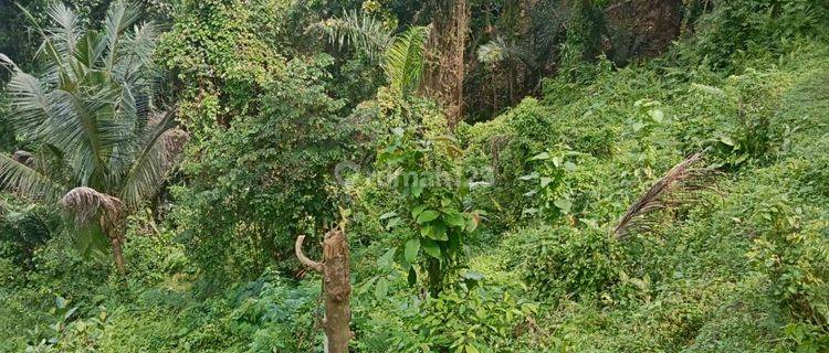 SURE DEAL ON LAND FOR SALE LOCATION KELIKI KAVAN PAYANGAN UBUD GIANYAR 
 1