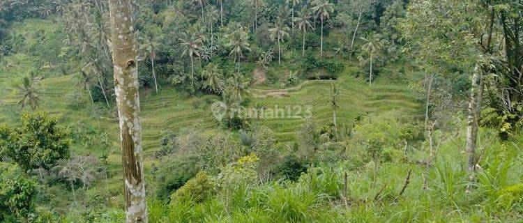 PASTI DEAL DI JUAL TANAH LOKASI TEGALLALANG UBUD GIANYAR  1