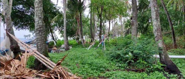 PASTI CLOSING DI JUAL TANAH LOSS PANTAI VIEW LAUT LOKASI TEJAKULA BULELENG
 1