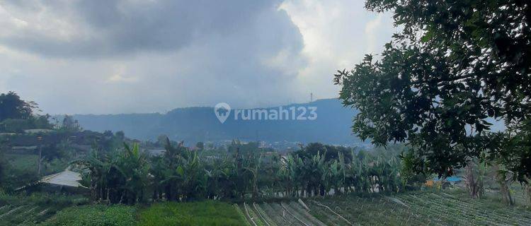 PASTI DEAL DI JUAL TANAH VIEW DANAU BUYAN LOKASI PANCASARI BEDUGUL SUKASADA BULELENG 1