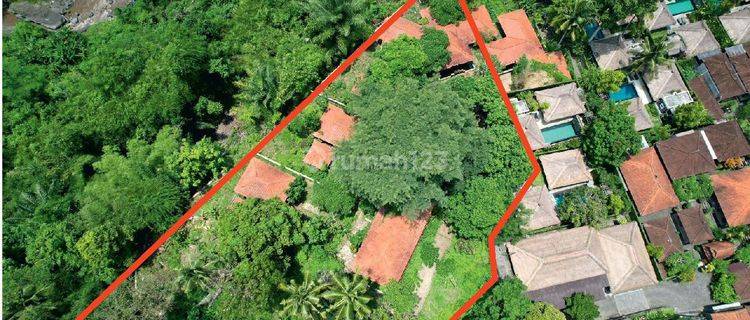 Tanah SHM Seluas 5.950 m² Di Ubud Zona Pariwisata View Sungai 1