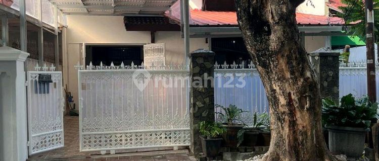 For Rent: Spacious House in Kayu Putih, East Jakarta 1