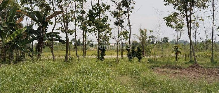 Dijual Lahan Darat Dan Datar Lokasi Bagus Di Gunung Sindur 1