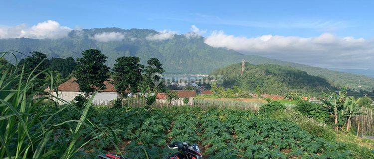 Dijual tanah bukit catu bedugul 1