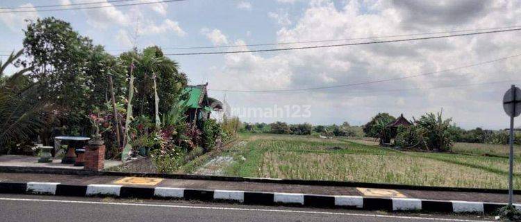 Dijual tanah pinggir jalan tanah lot tabanan bali 1