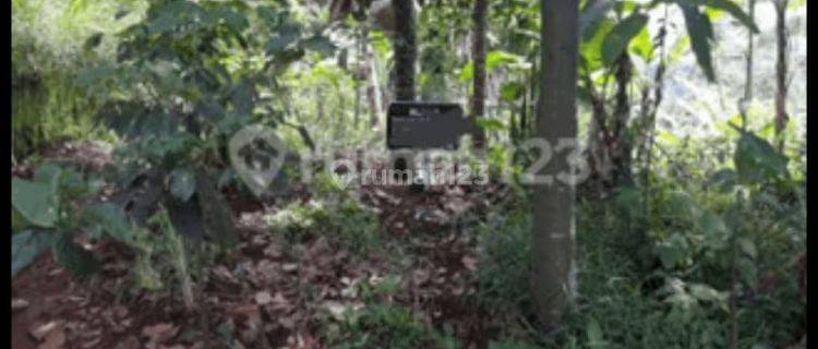 Tanah Strategis di Dekat Danau Lido Caringin Kabupaten Bogor 1