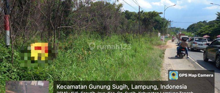 Tanah di Gunung Sugih, Lampung Tengah Sertifikat Hak Milik 11.642 m² 1