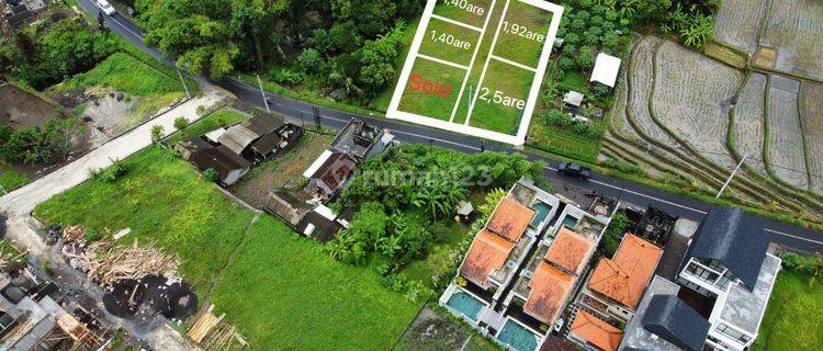 Land for rent in villa area view rice field raya pantai kedungu jl6mtr 1