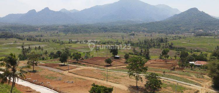 Dijual Tanah Murah Lokasi Strategis Nempel Jalan Raya Propinsi  1