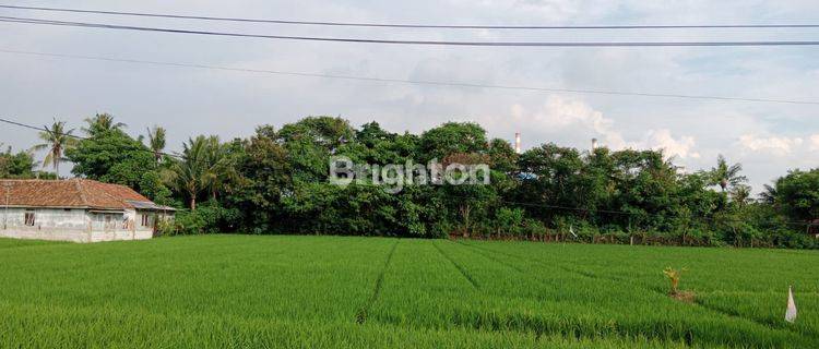 TANAH KOSONG STRATEGIS DI SENTUL 1