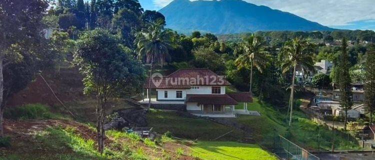 Di Jual Tanah dan 2 bangunan vila di puncak Bogor 1