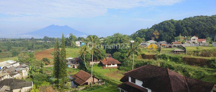 TANAH DAN 3 BANGUNAN VILA DI CITEKO CISARUA PUNCAK BOGOR 1