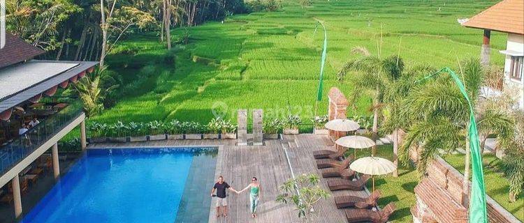 Id:F-817 Luxury Villa for Sale Pejeng Gianyar Bali Near Ubud Center 1